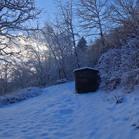Wohlfuehloase Haus Talblick Mit Whirlpool Kamin Aussicht 10 Personen * 슈라이덴