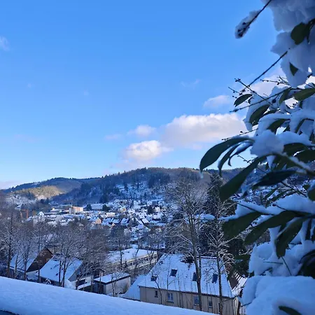 Wohlfuehloase Haus Talblick Mit Whirlpool Kamin Aussicht 10 Personen 펜션