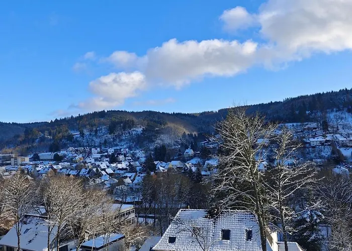Wohlfühloase Haus Talblick Mit Whirlpool Kamin Aussicht 10 Personen Schleiden