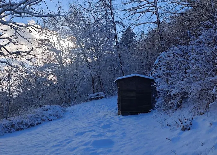 Wohlfuehloase Haus Talblick Mit Whirlpool Kamin Aussicht 10 Personen * Schleiden