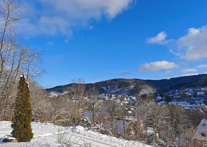 Сasa de vacaciones Wohlfühloase Haus Talblick Mit Whirlpool Kamin Aussicht 10 Personen Schleiden